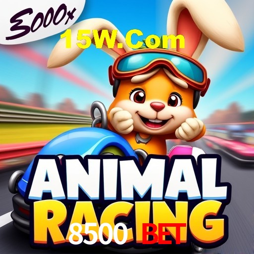 Experiência VIP 8500 Bet
